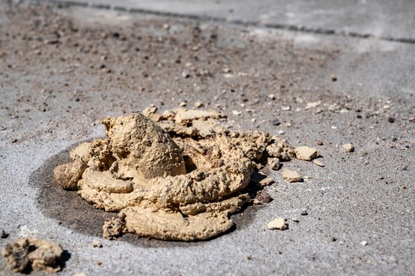 Cost of Driveway Slab Leveling in Bonita Springs
